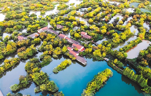 杭州西溪湿地探索湿地保护与利用双赢之路